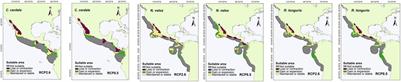 Evaluation of Shifts in the Potential Future Distributions of Carcharhinid Sharks Under Different Climate Change Scenarios